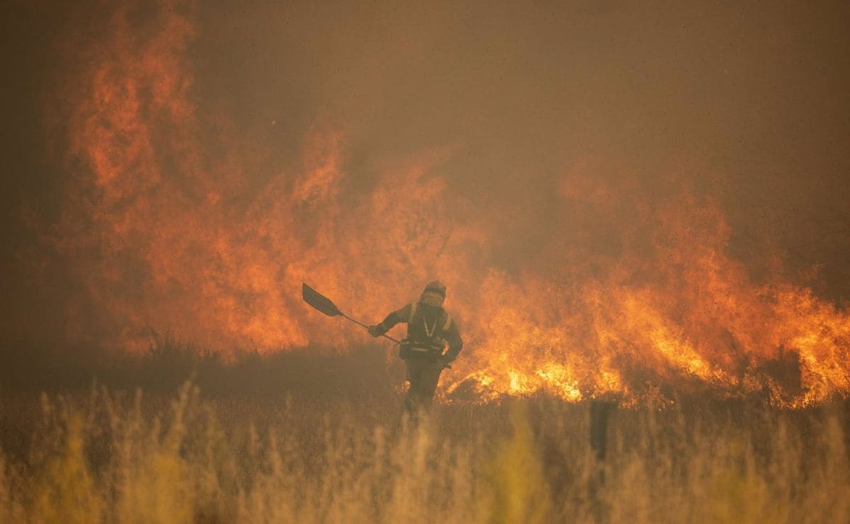 Fundación ONCE explica cómo se debe atender a personas con discapacidad en los casos de evacuación por incendios forestales