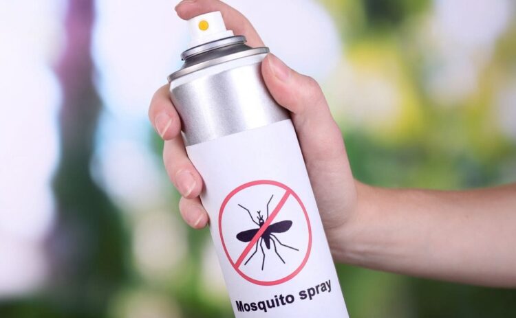 Elimina los mosquitos con este insecticida casero