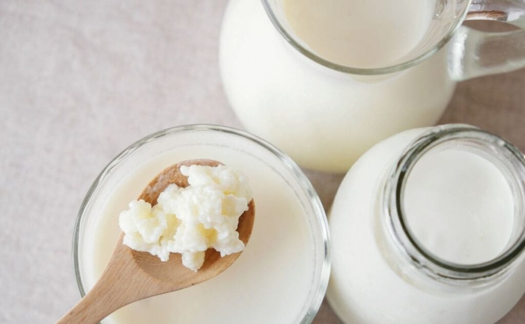 kefir alimento probiotico mejora flora intestinal