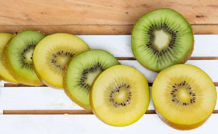 Variedades de kiwi