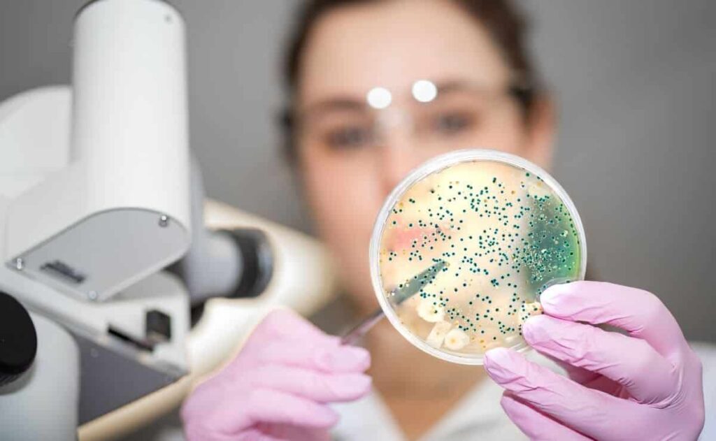 Así ayudan los probióticos a cuidar la microbiota intestinal