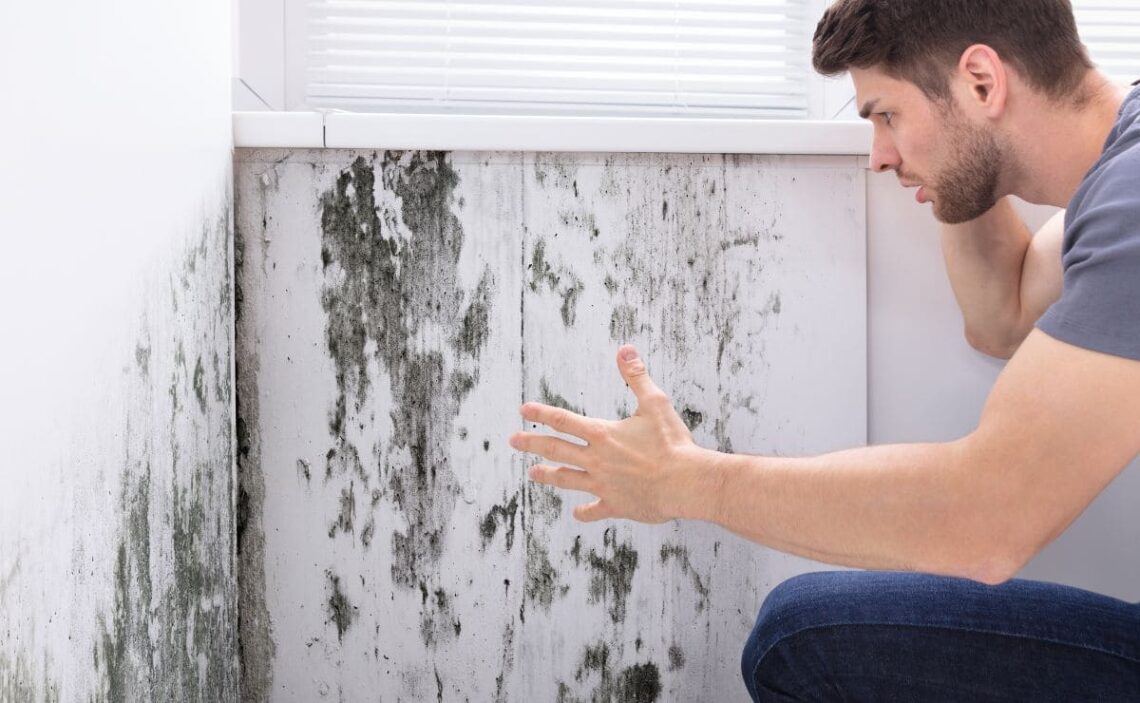 Eliminar el moho en la pared de la habitación