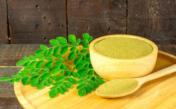 moringa suplemento medicinal natural remedio casero alimento superalimento