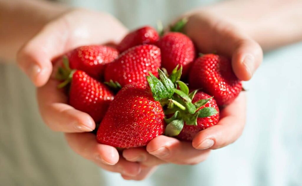 Beneficios de las fresas según la OCU