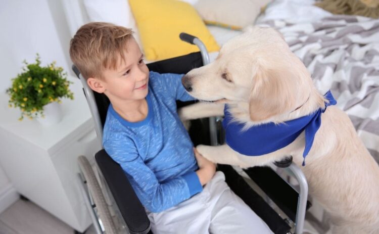 Perro de asistencia junto a su dueño con discapacidad