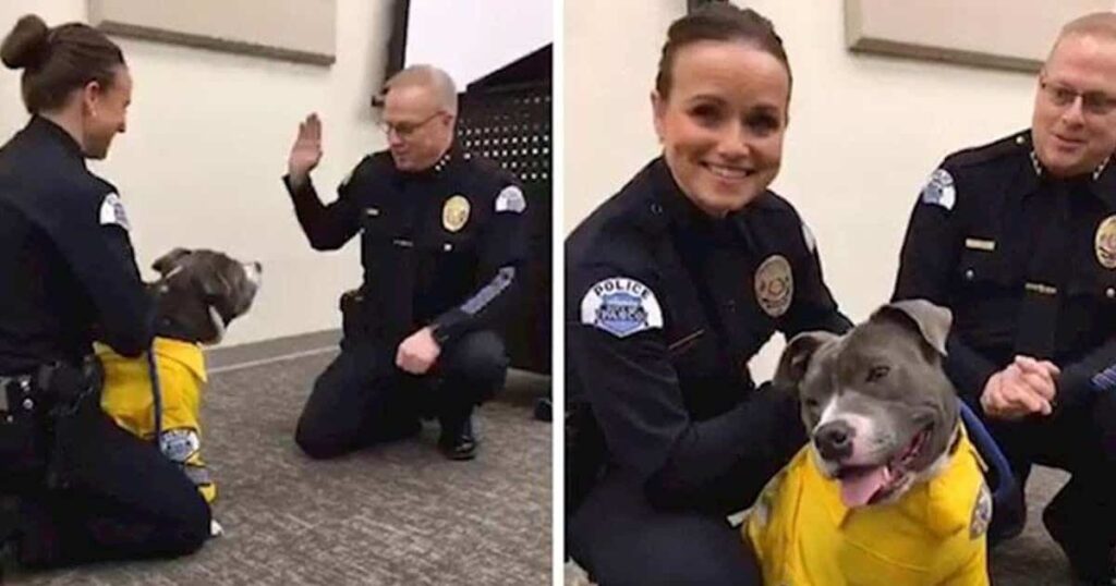 Eddie vestido de perro policía