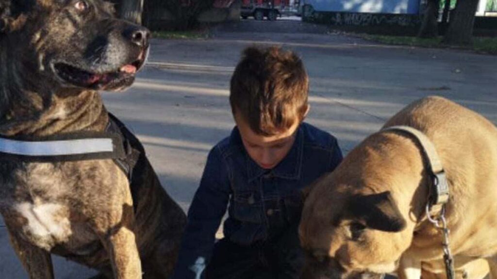 Joan, niño con autismo, junto a perros de asistencia