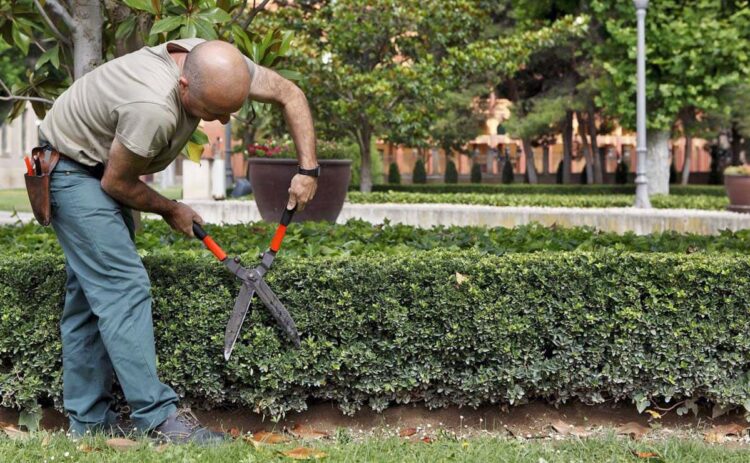 persona con discapacidad trabajo empleo INAEM