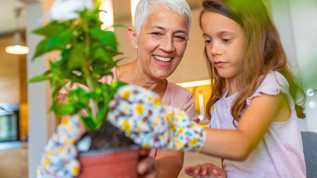 El ingrediente para cuidar tus plantas de interior en casa