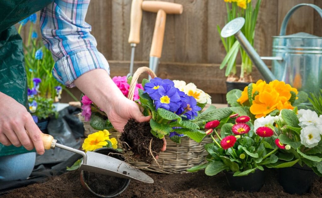 Las plantas más recomendadas para el jardín en junio