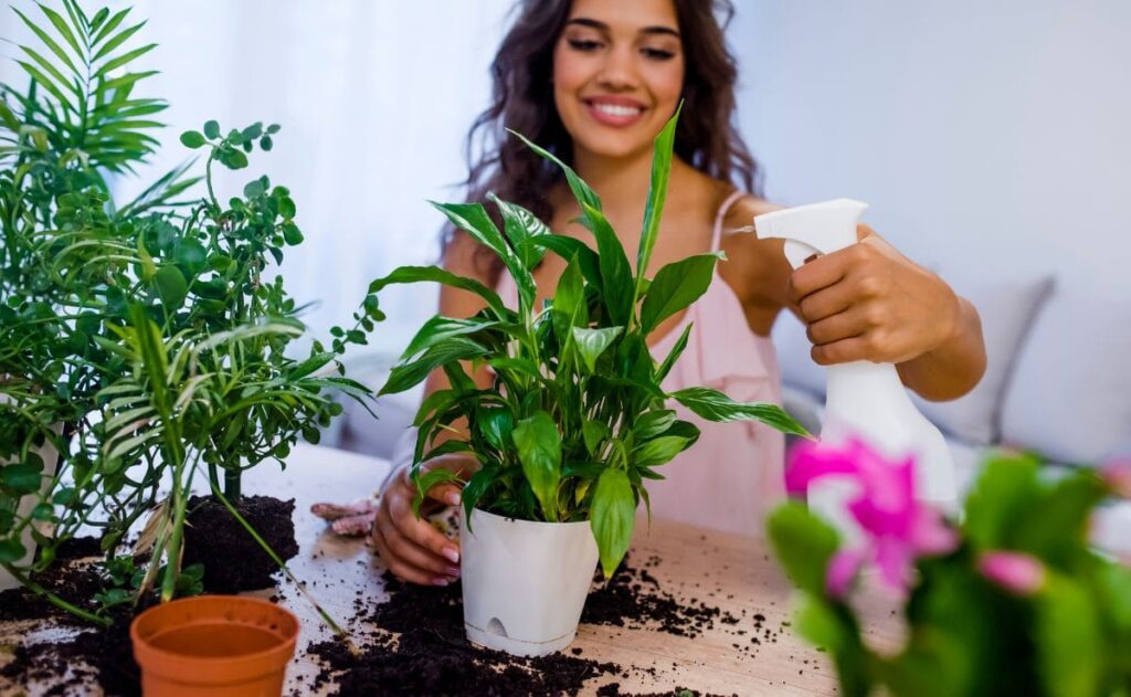 7 trucos para eliminar hongos de tus plantas