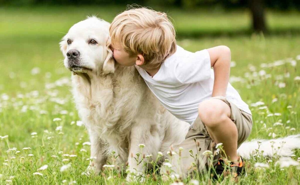 Las mejores razas de perro para niños