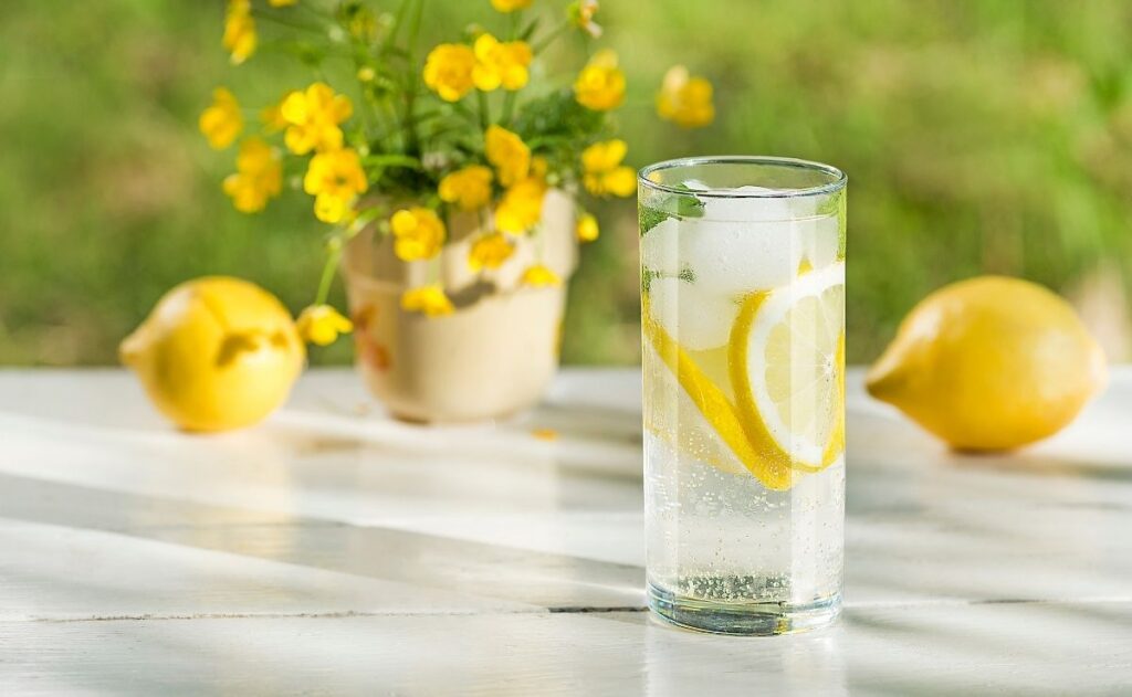 refresco fruta alimento bebida líquido dieta comida dieta salud