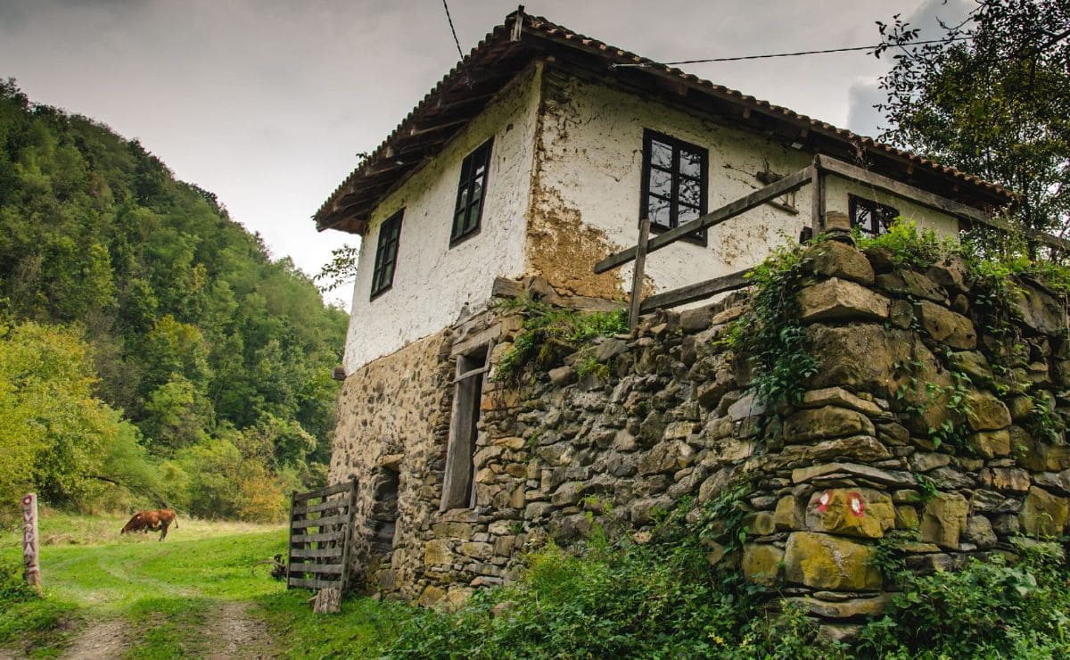 Desde el Idealista apuestan por la repoblación rural