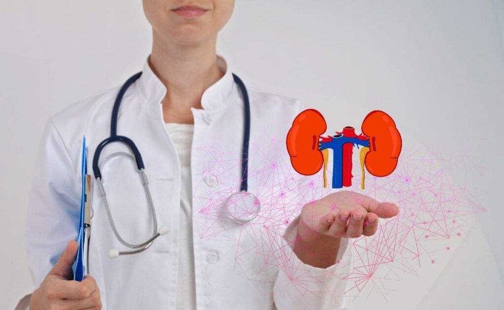 Beneficios de las alcachofas para la salud renal