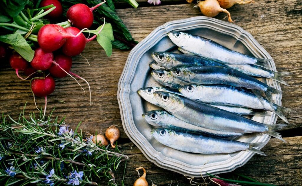 Sardinas, el superalimento del mar