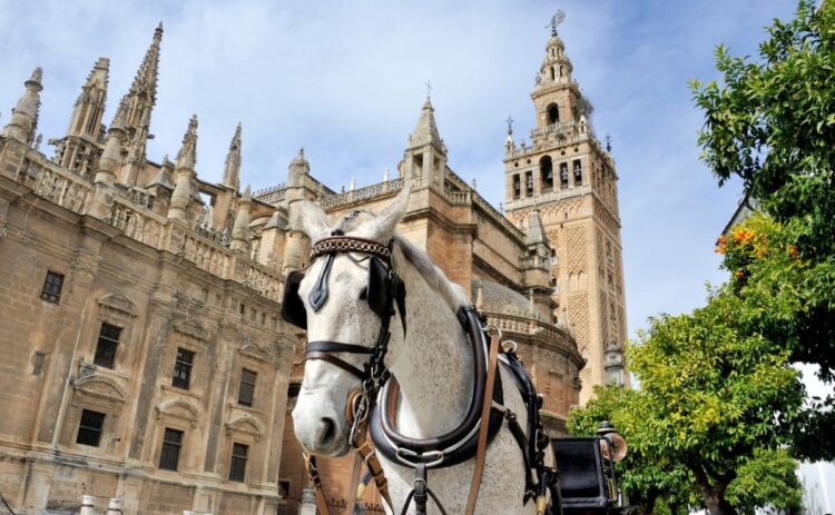 Sevilla es una de las ciudades que se pueden visitar con los viajes del IMSERSO