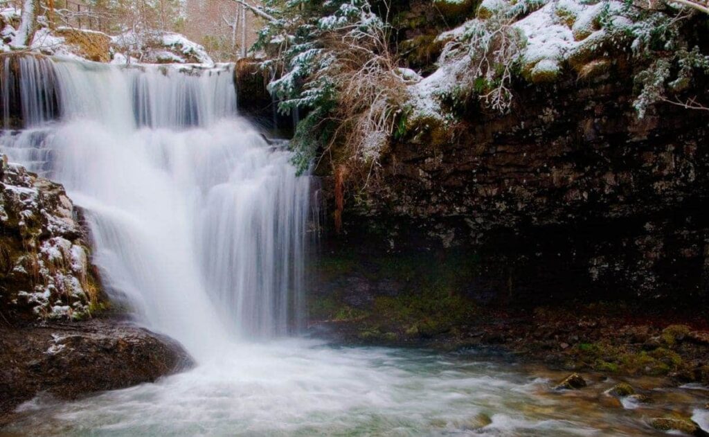 El programa inclusivo 'Naturaleza sin barreras' vuelve al Parque Natural de la Sierra de CebolleraEl programa inclusivo 'Naturaleza sin barreras' vuelve al Parque Natural de la Sierra de Cebollera