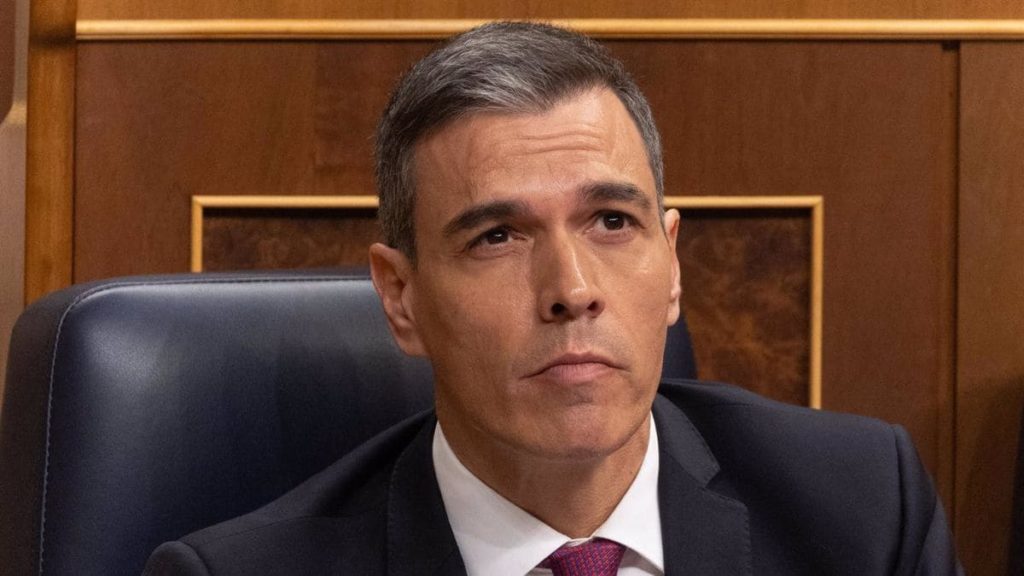 Plena Inclusión pide al Gobierno de Pedro Sánchez cambios en la Ley de Dependencia