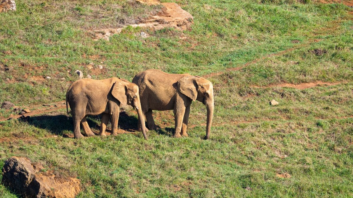 Parque de la Naturaleza de Cabárceno