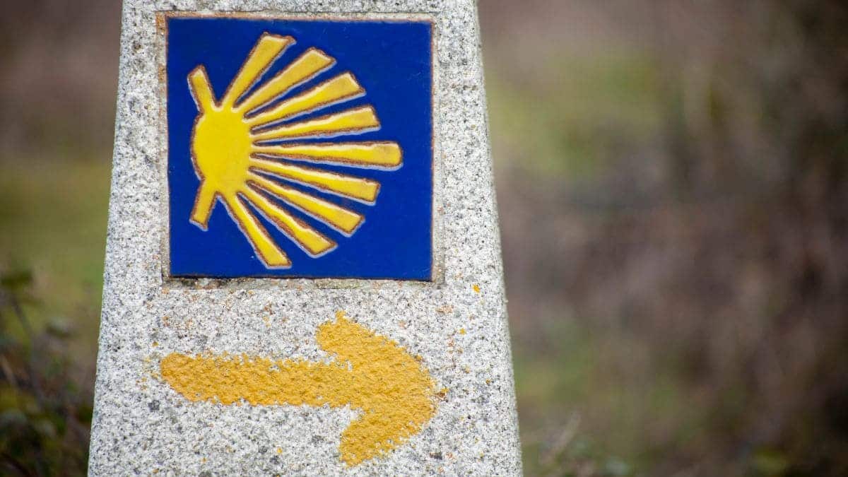 12 personas con discapacidad van a recorrer el Camino de Santiago Francés entre Pamplona y Logroño