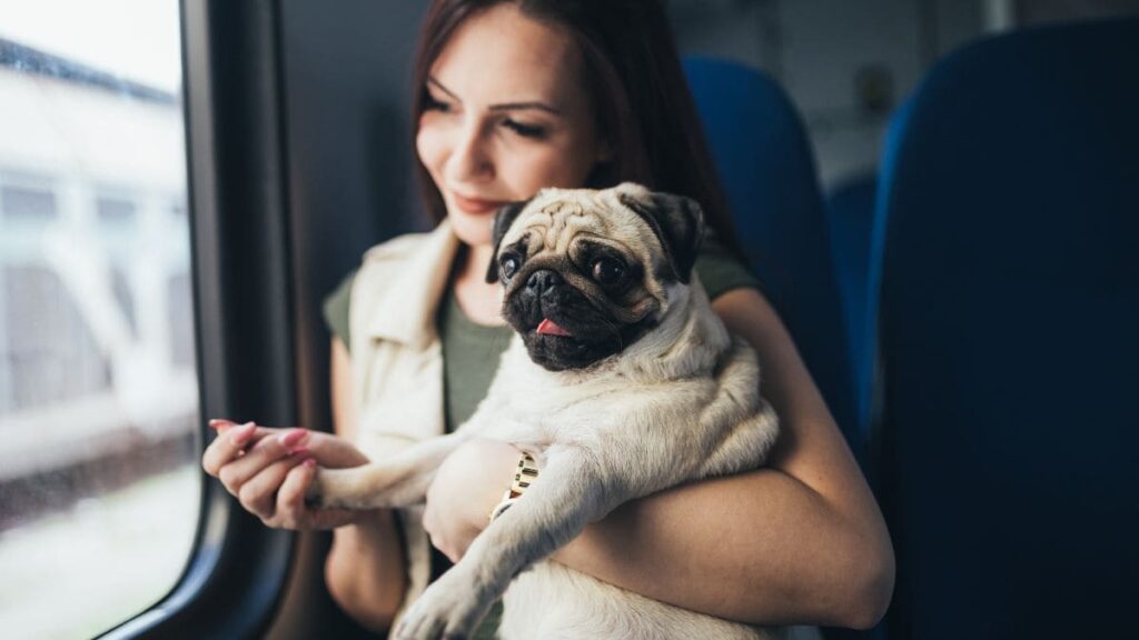 Viajar con perro en Renfe