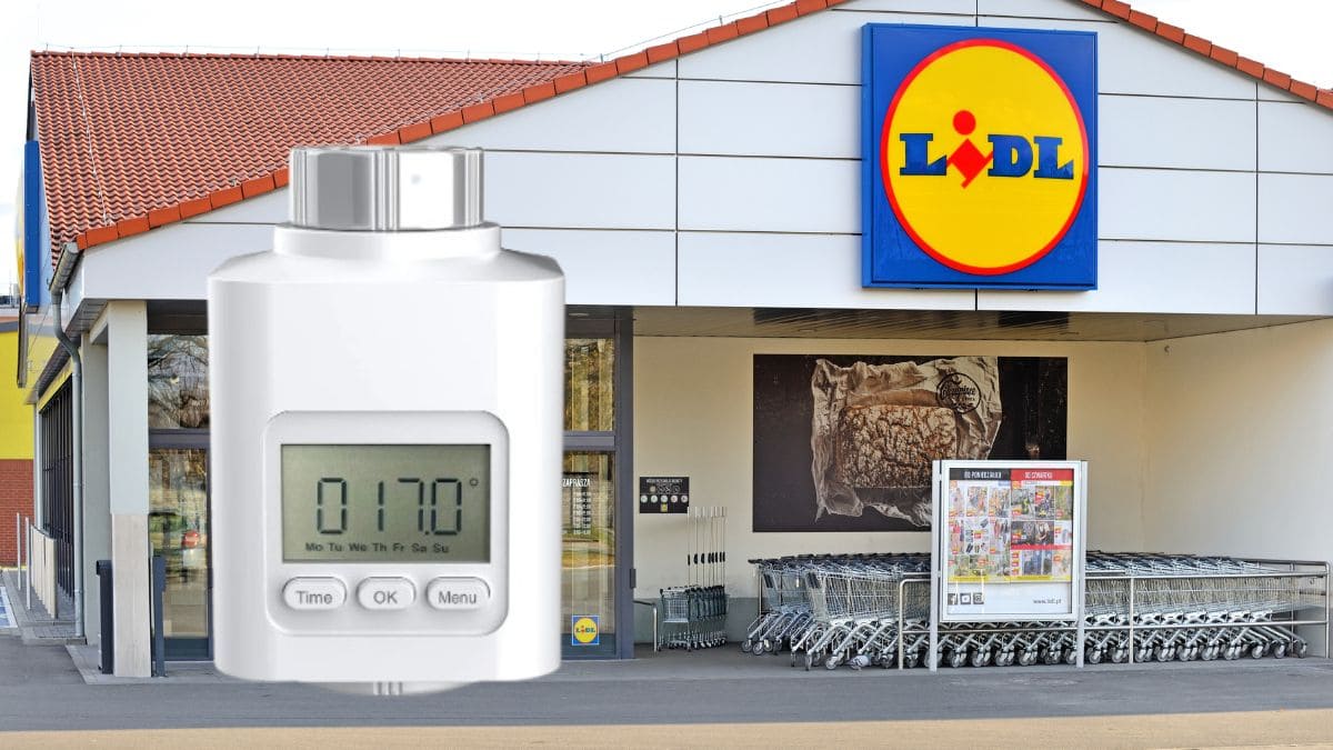 Termostato para radiador de Lidl