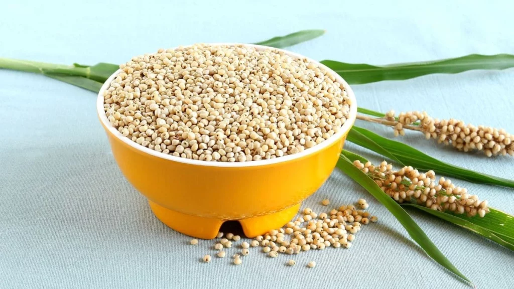 Sorgo, el cereal desconocido considerado 'superalimento'