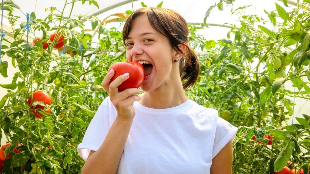 Tomate, fruta rica en vitamina A