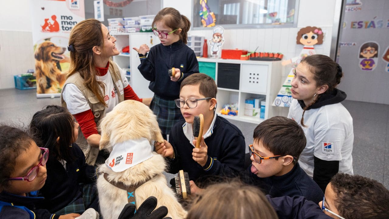 La terapia asistida con perros, un gran apoyo para los niños con síndrome de Down